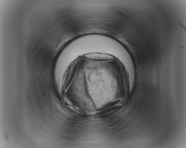 X0000100390207200806271405