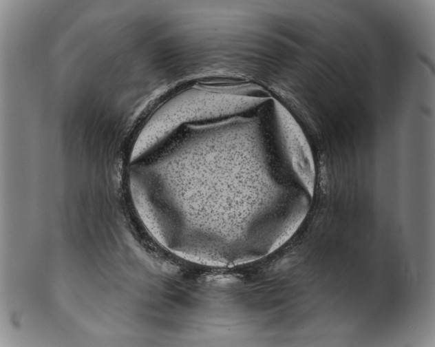 X0000100390208200806271405