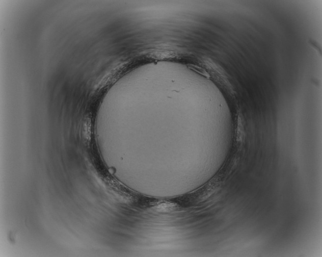 X0000100390210200806271405