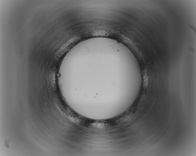 X0000100390211200806271405