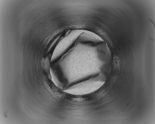 X0000100390212200806271405