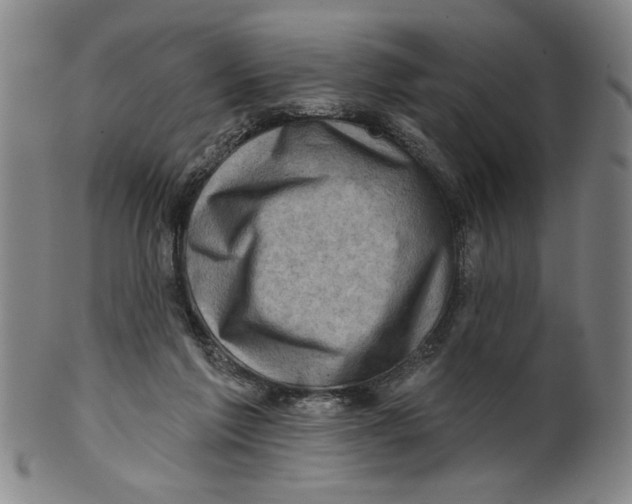 X0000100390213200806271405