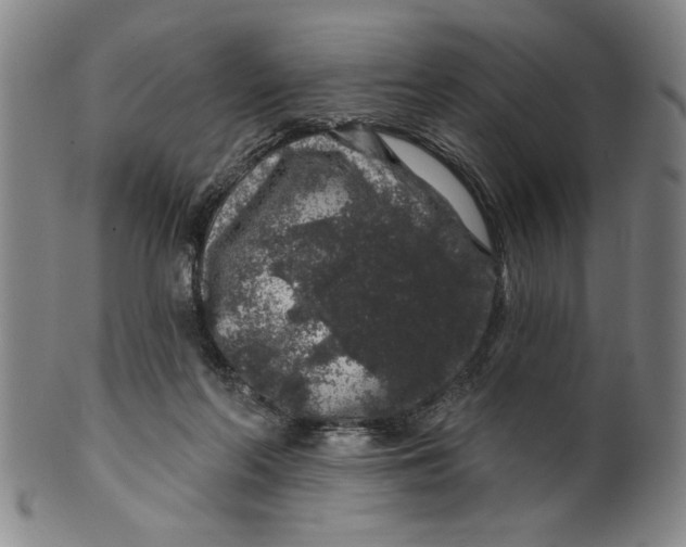 X0000100390214200806271405