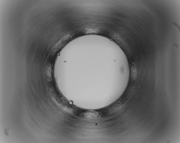 X0000100390215200806271405