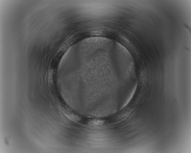 X0000100390217200806271405