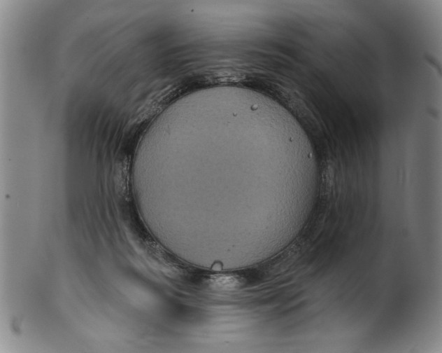 X0000100390218200806271405