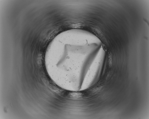 X0000100390221200806271404