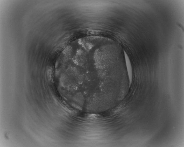 X0000100390222200806271404