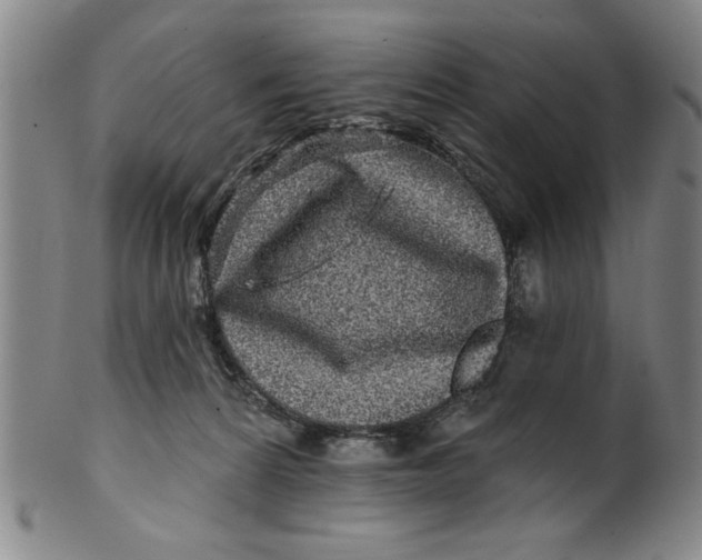 X0000100390224200806271404