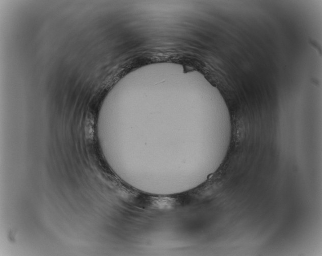 X0000100390226200806271404