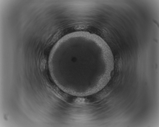 X0000100390227200806271404