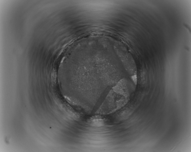 X0000100390228200806271404