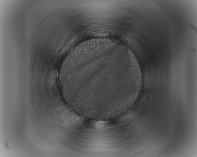 X0000100390229200806271404