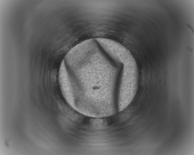 X0000100390230200806271404