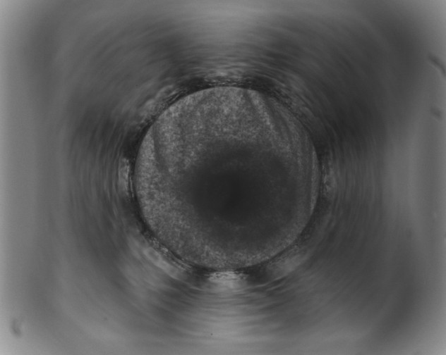 X0000100390231200806271404