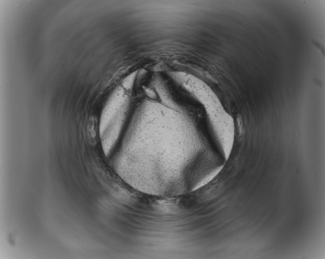 X0000100390232200806271404