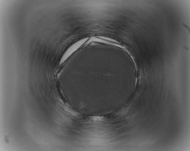 X0000100390233200806271404