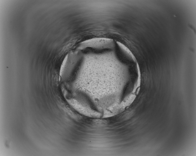 X0000100390234200806271404