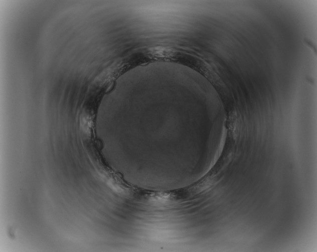 X0000100390235200806271404