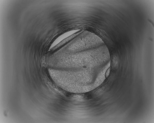 X0000100390236200806271404