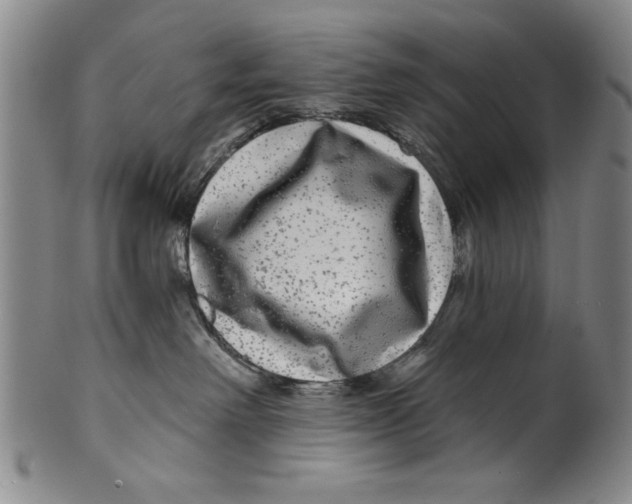 X0000100390238200806271404