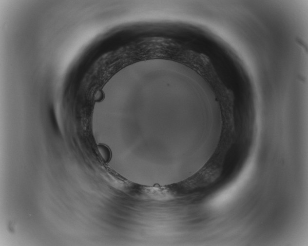 X0000100390239200806271404