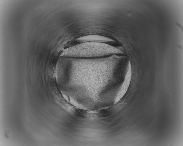 X0000100390240200806271404