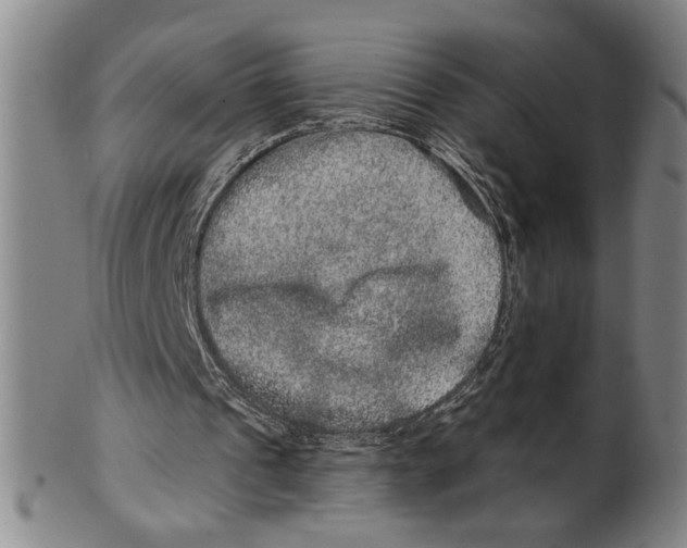 X0000100390241200806271403