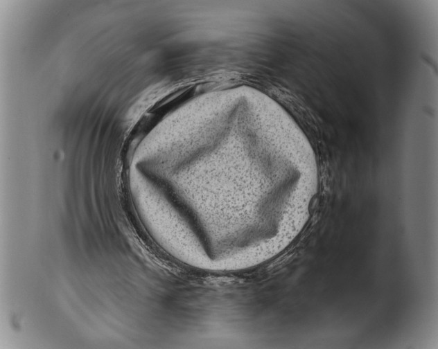 X0000100390242200806271403