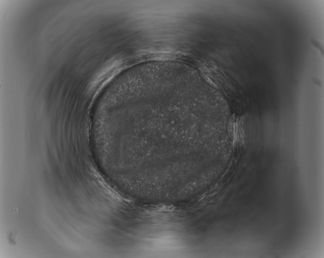 X0000100390243200806271403