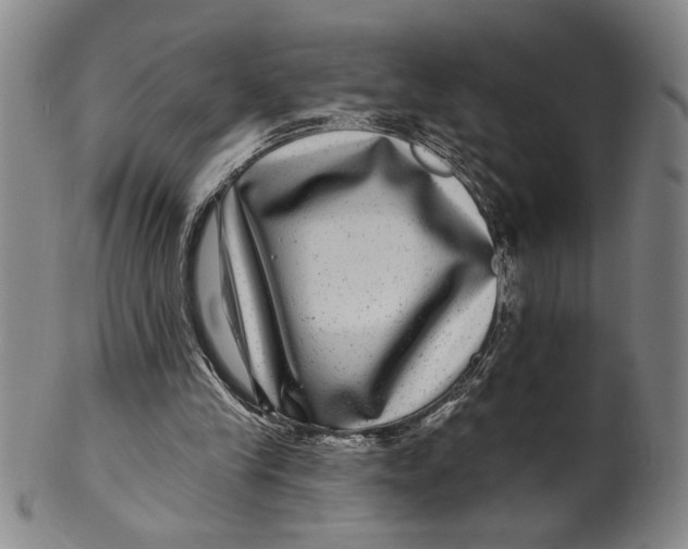 X0000100390245200806271404