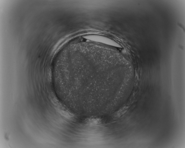 X0000100390247200806271404