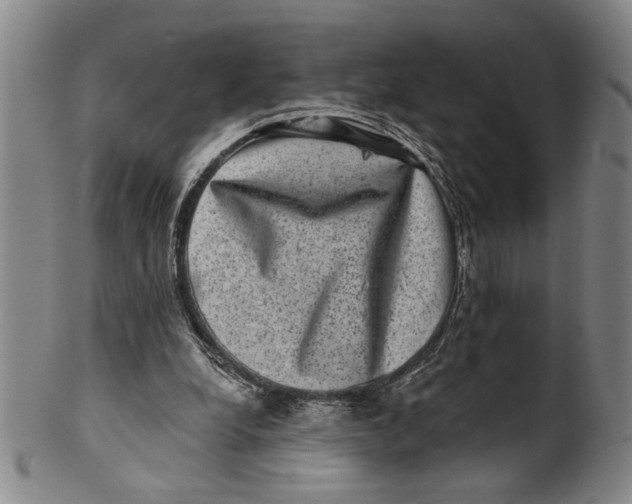 X0000100390248200806271404