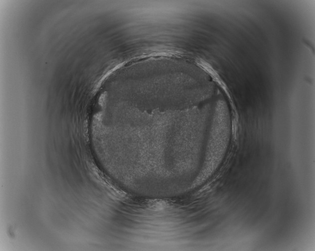 X0000100390249200806271404