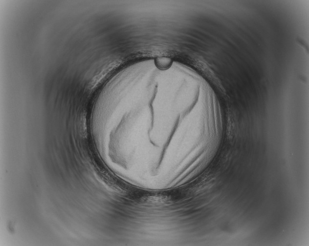 X0000100390251200806271404