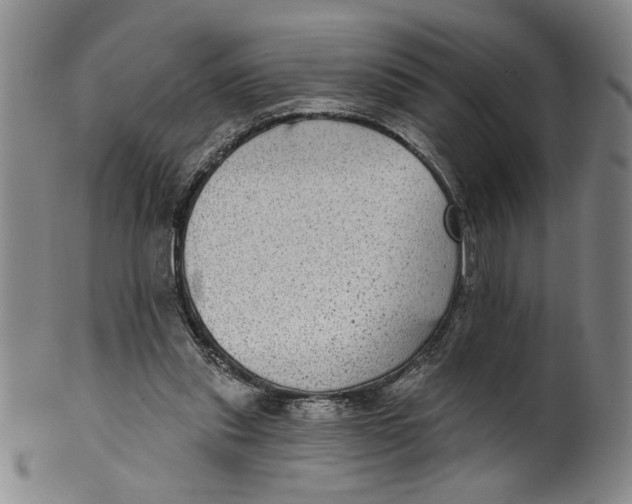 X0000100390253200806271404