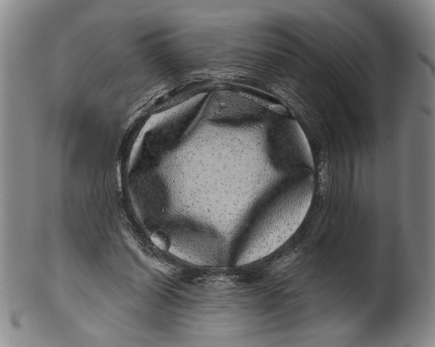 X0000100390254200806271404