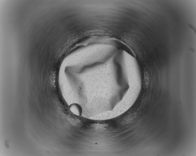 X0000100390255200806271404