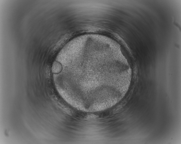 X0000100390257200806271404