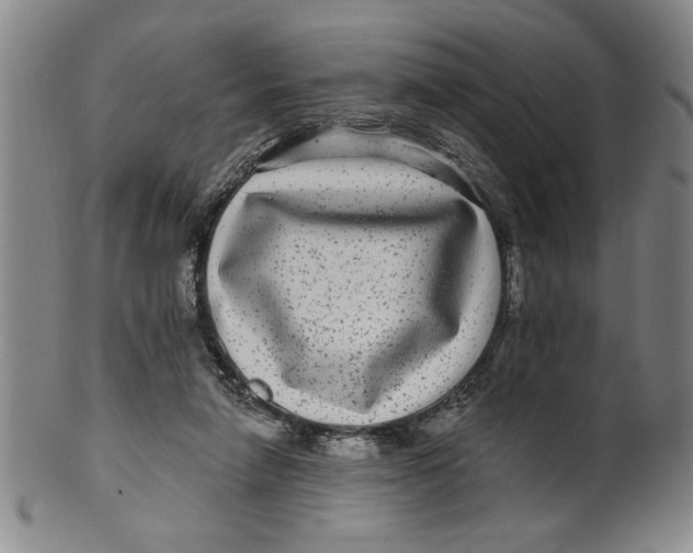 X0000100390258200806271404