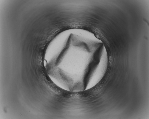 X0000100390259200806271404