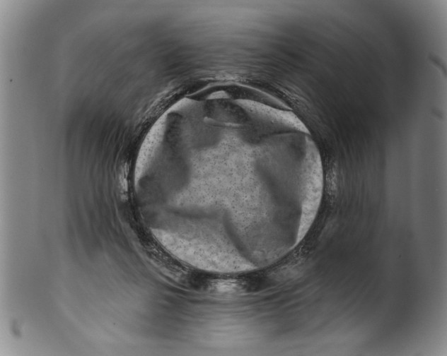 X0000100390264200806271404