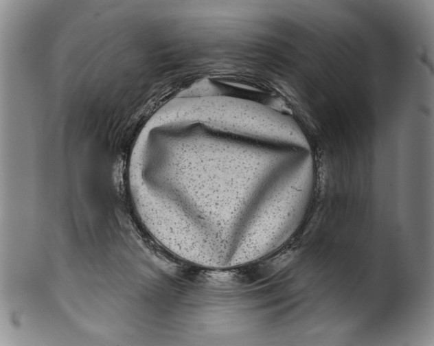 X0000100390265200806271404