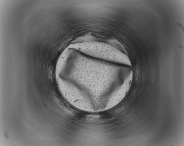 X0000100390266200806271404