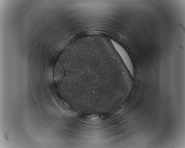 X0000100390267200806271404