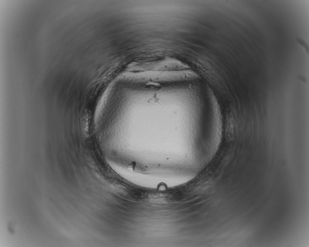 X0000100390268200806271404