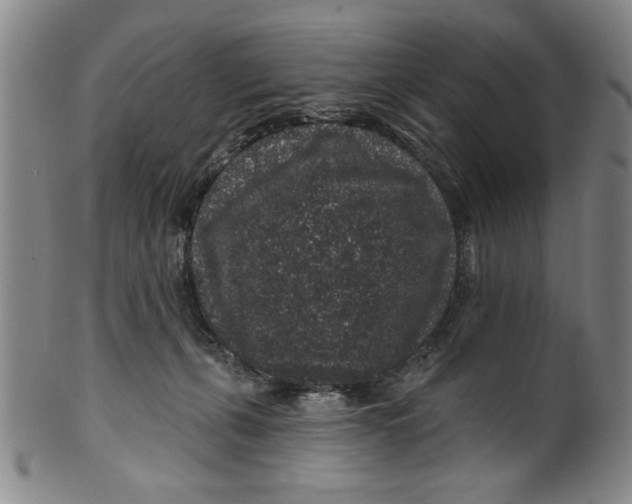 X0000100390271200806271404