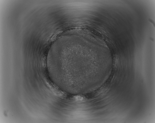 X0000100390272200806271404