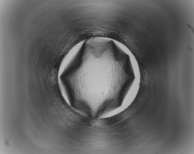 X0000100390273200806271404