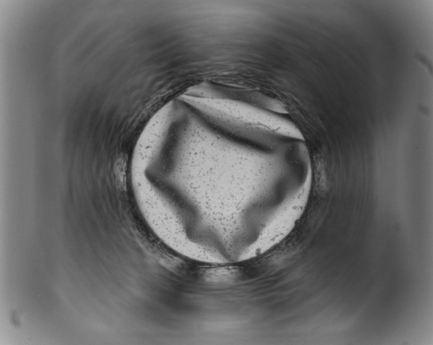 X0000100390274200806271404